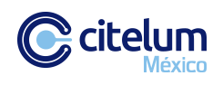 1_citelum_web.webp