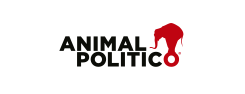animal_politico_web.webp